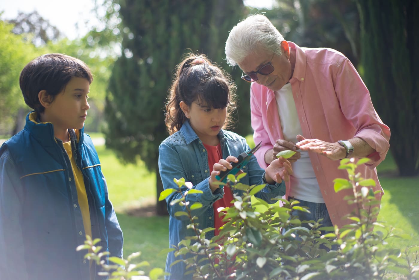 A grandfather's capsule for his grandchildren
